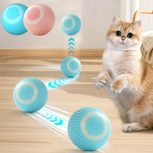 Balle interactive roulante pour chat