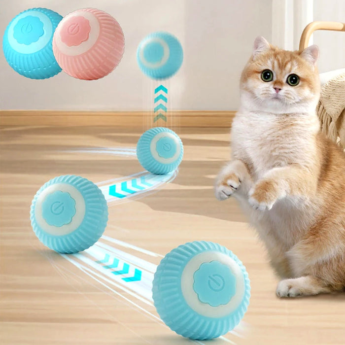 Chat jouant avec des balles interactives roulantes
