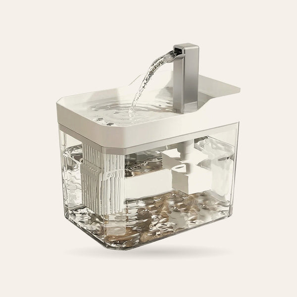 Fontaine à eau transparente pour chat, vue de face