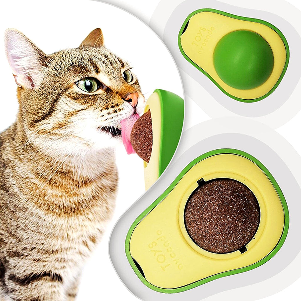 Chat tigré qui lèche la boule d'herbe à chat de son support en avocat