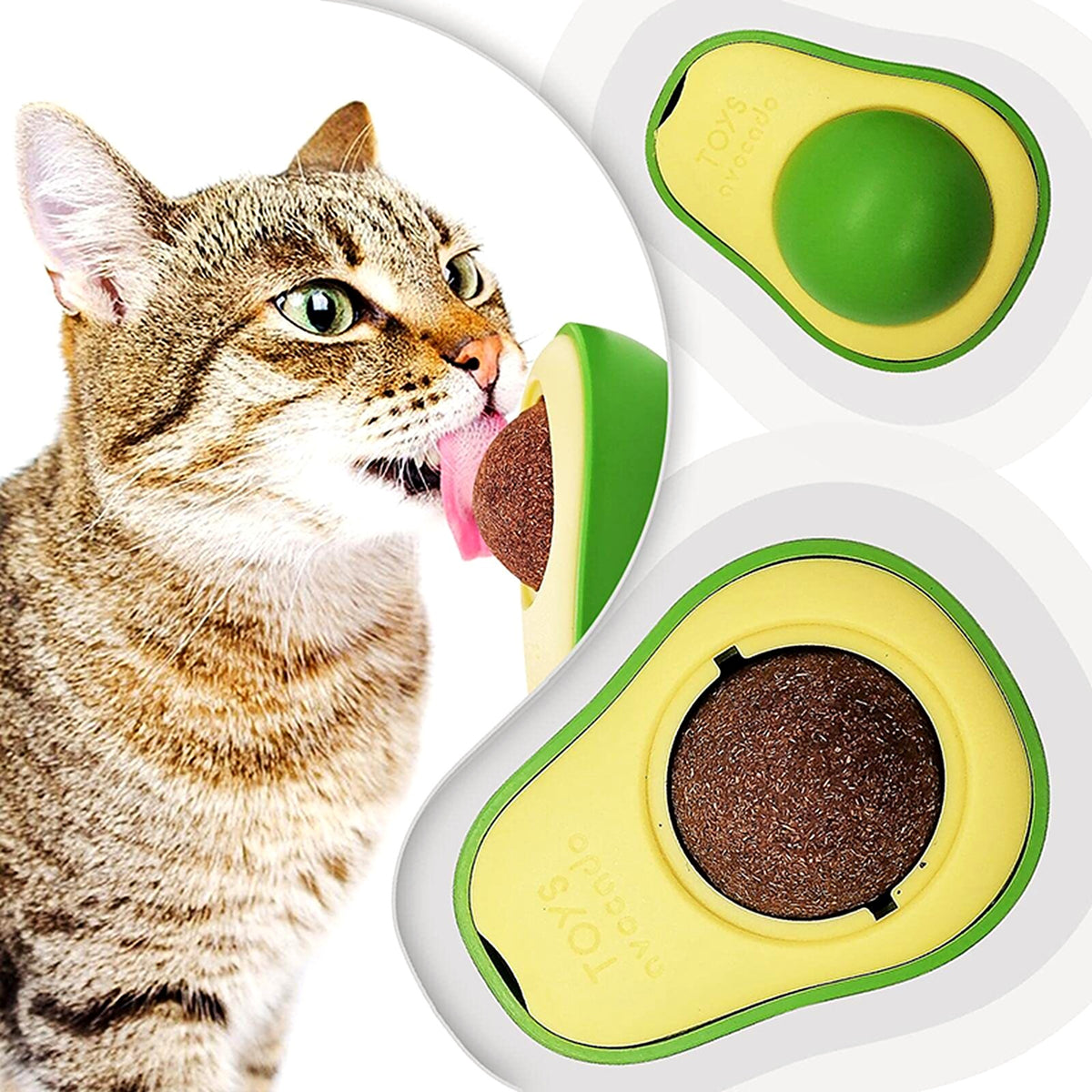 Chat tigré qui lèche la boule d'herbe à chat de son support en avocat