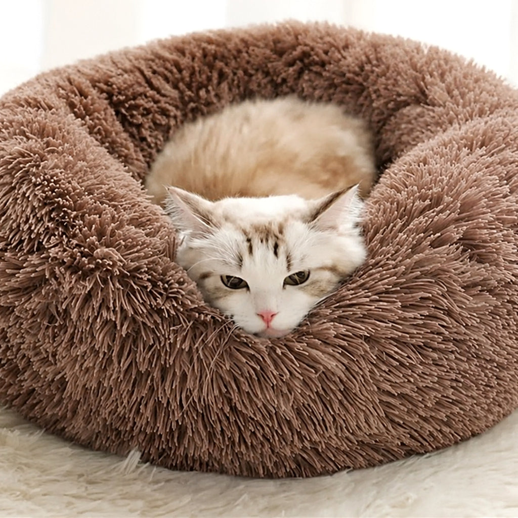 Chat blotti dans un lit rond en peluche marron à poils longs
