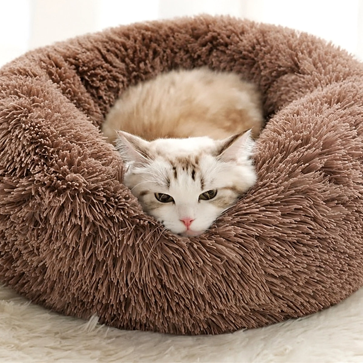 Chat blotti dans un lit rond en peluche marron à poils longs