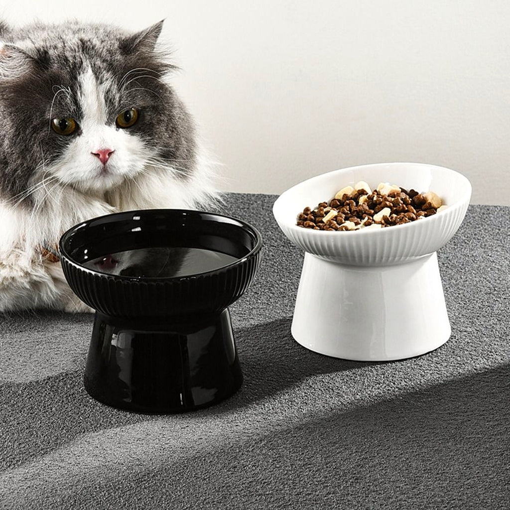 Un chat devant une gamelle noire et une gamelle blanche surélevées, des croquettes dans la blanche
