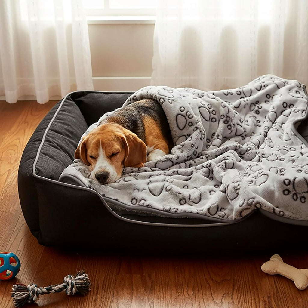 Chien beagle endormi dans son panier sous une couverture à motif de pattes
