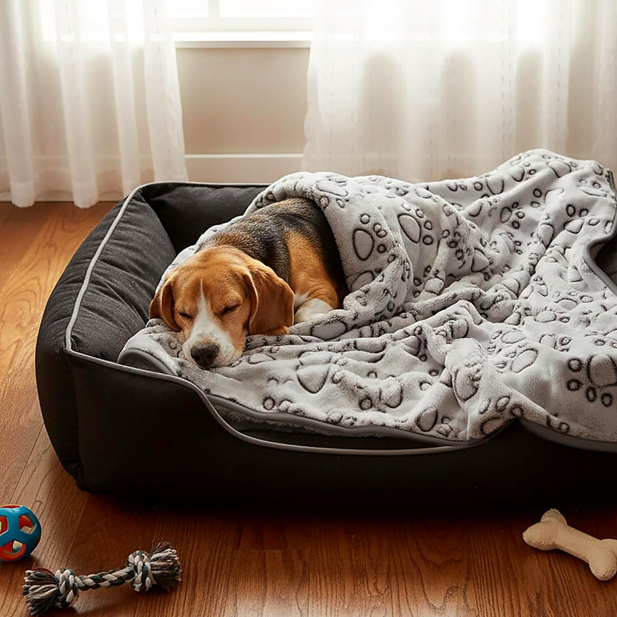 Chien beagle endormi dans son panier sous une couverture à motif de pattes