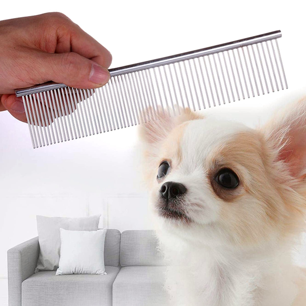 Une main passe un peigne en acier inoxydable au-dessus d'un petit chien