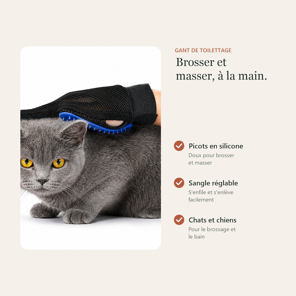 Gant de toilettage : picots en silicone, sangle réglable, pour chats et chiens