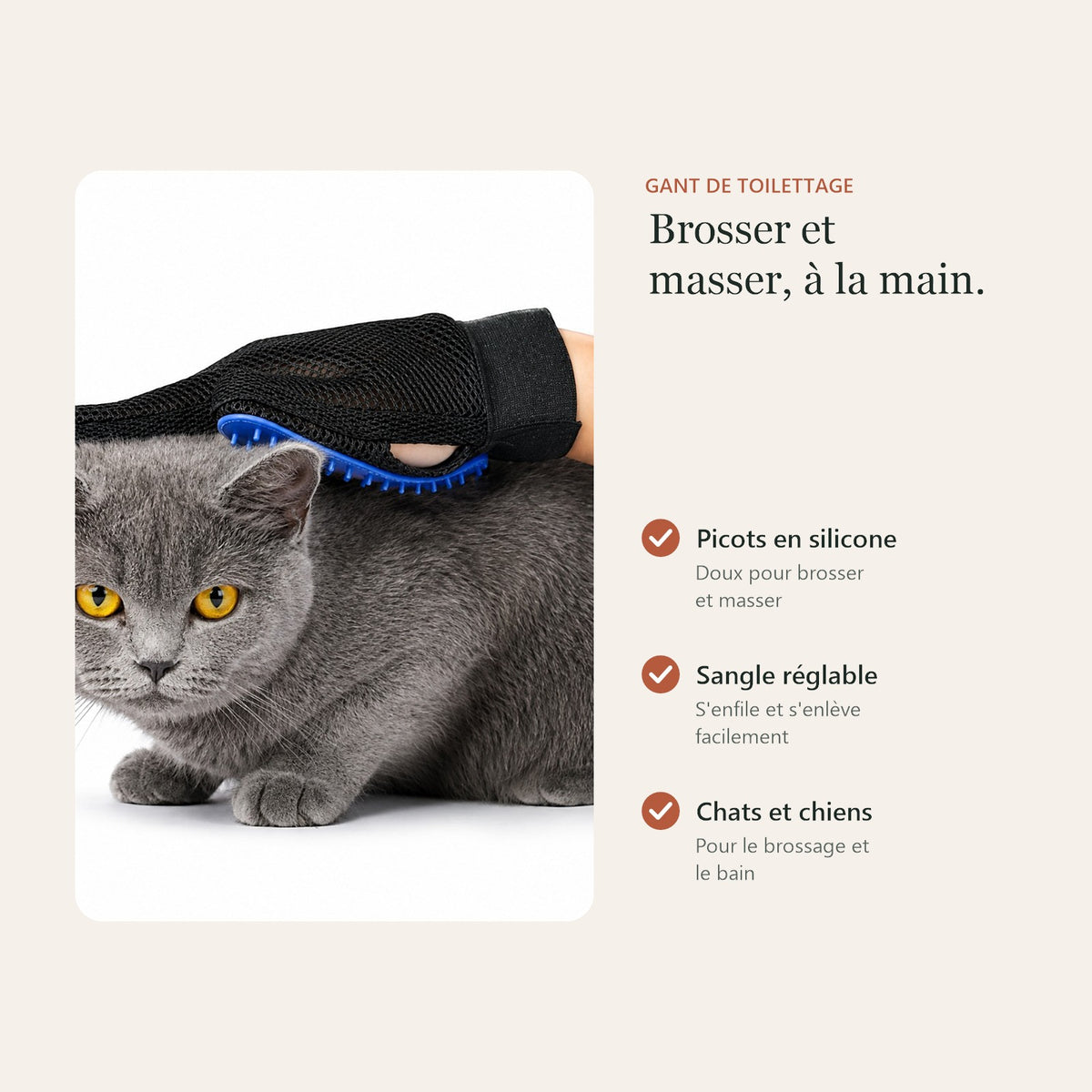 Gant de toilettage : picots en silicone, sangle réglable, pour chats et chiens