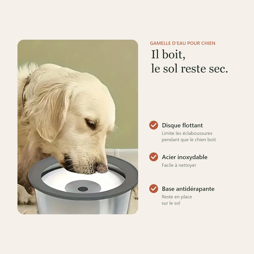 Gamelle d'eau : disque flottant, acier inoxydable, base antidérapante