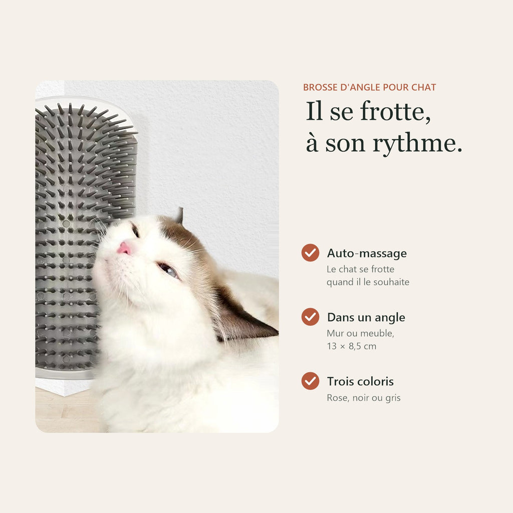 Brosse d'angle : auto-massage, pour un angle de mur ou de meuble, trois coloris