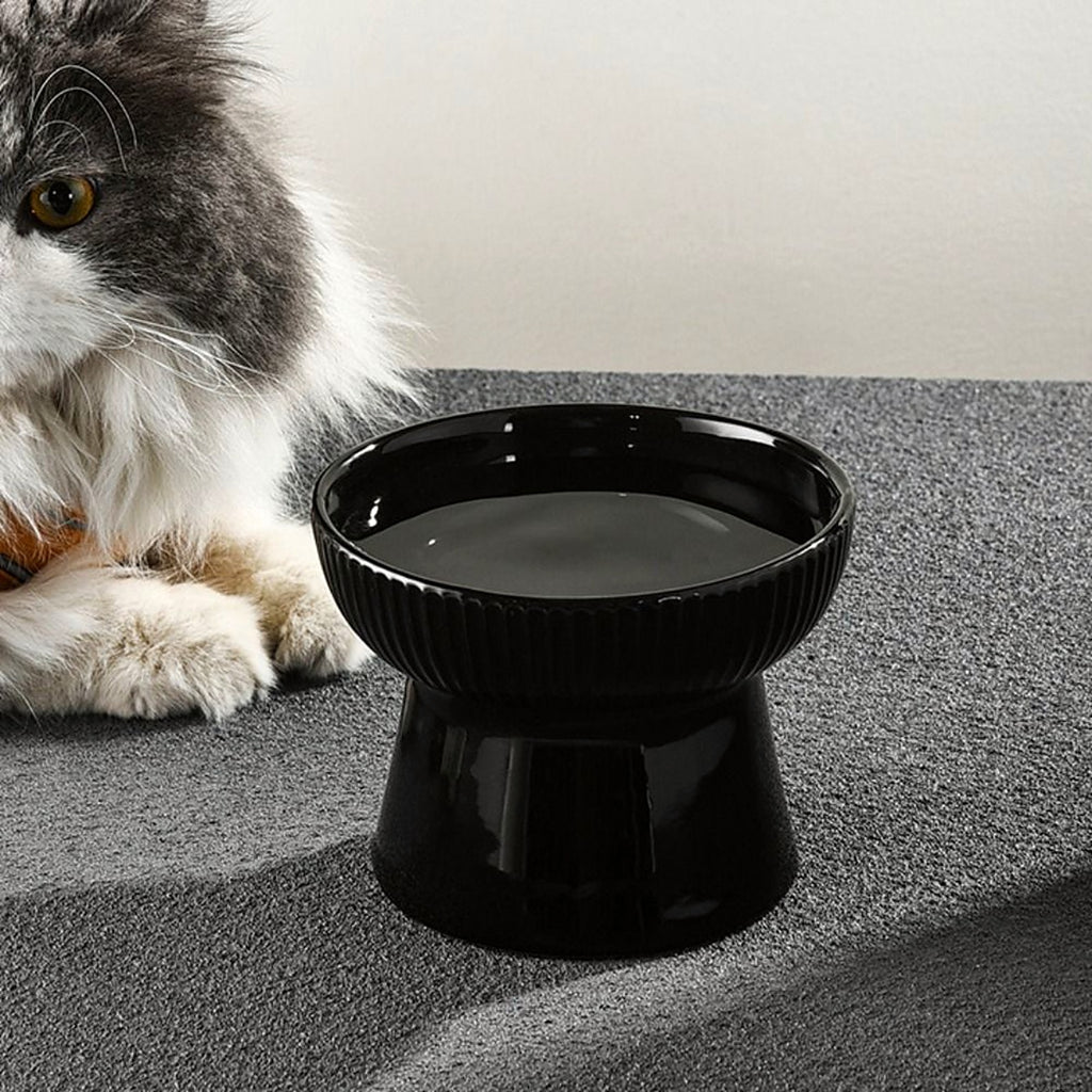 Chat à poils longs assis derrière une gamelle surélevée noire en céramique