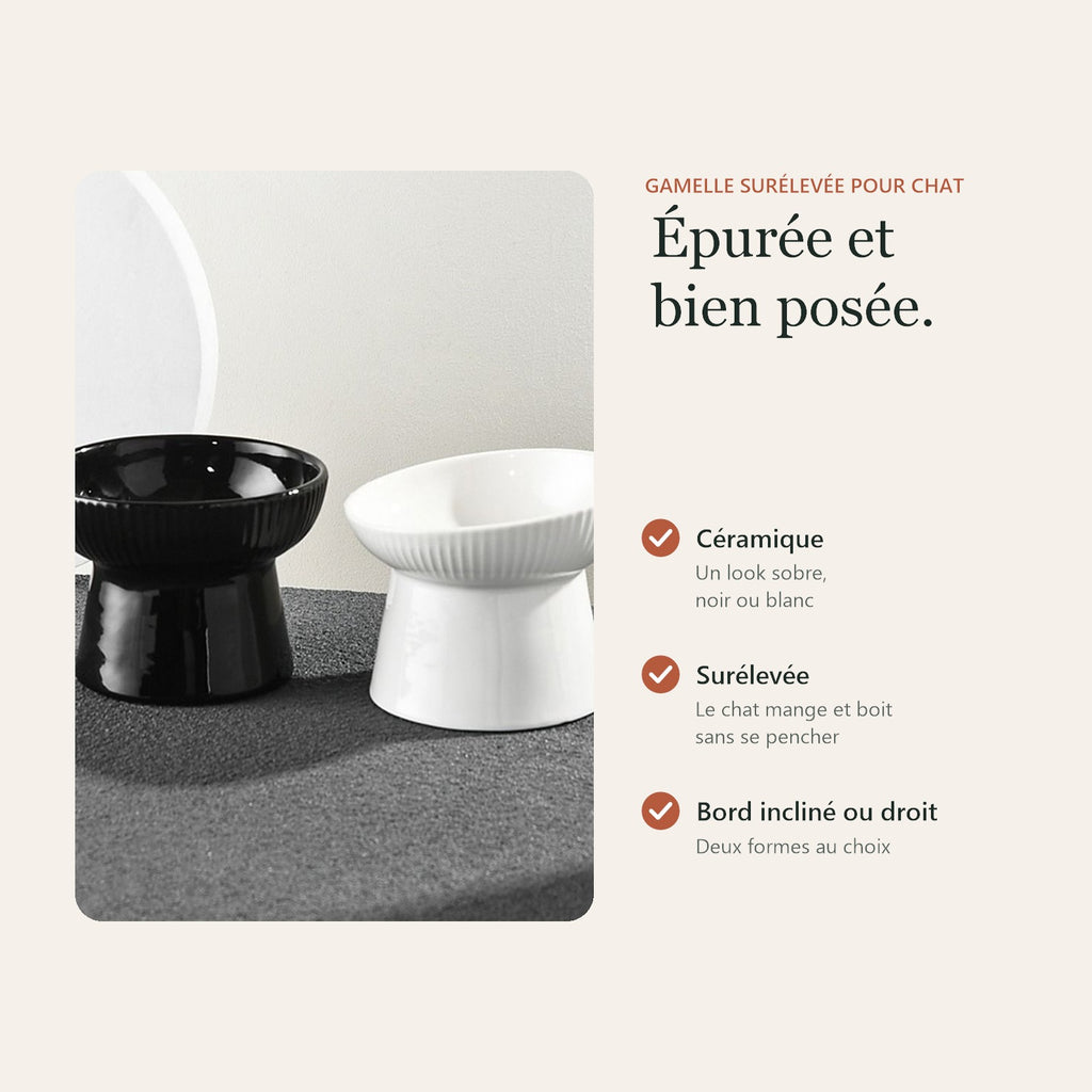 Gamelle surélevée : céramique, pied haut, bord incliné ou droit