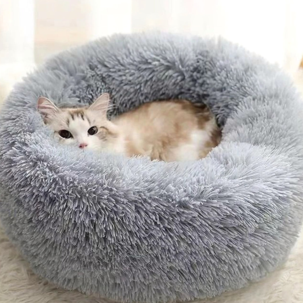 Chat blotti dans un lit rond en peluche gris clair