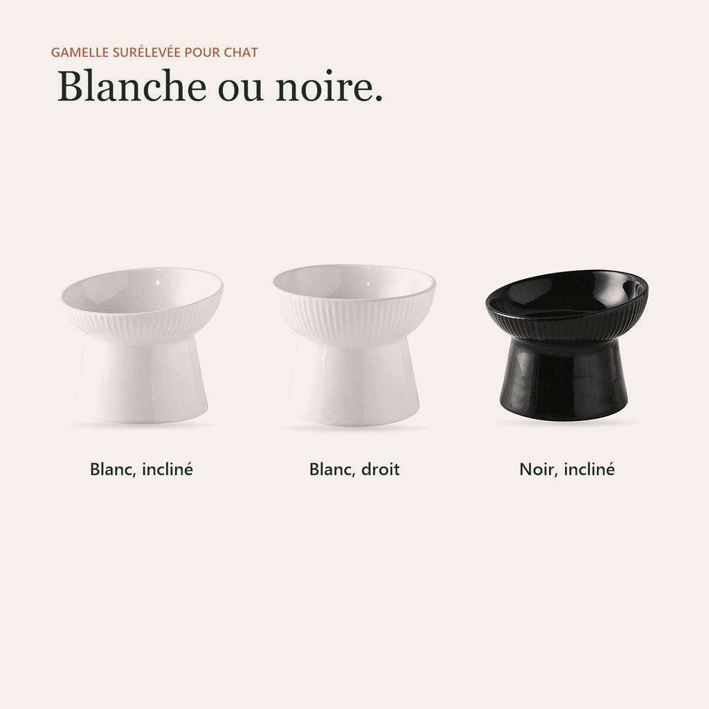 La gamelle en blanc incliné, blanc droit et noir incliné