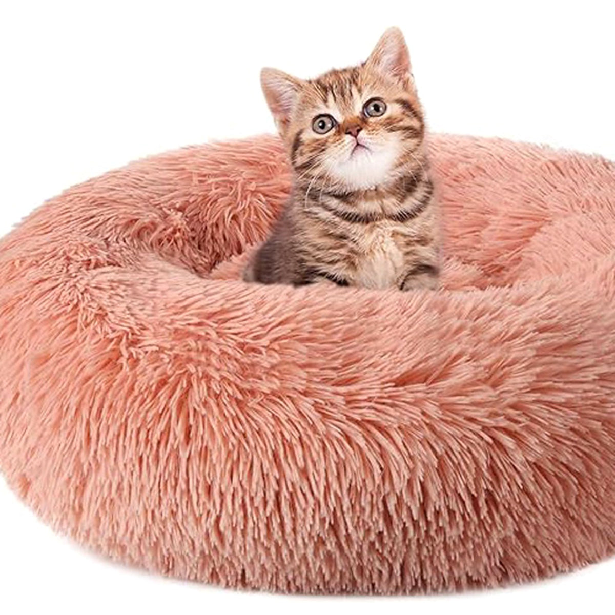 Chaton assis dans un lit rond en peluche rose saumon