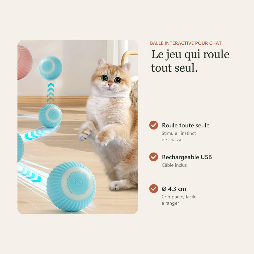Balle interactive : roule toute seule, rechargeable USB, 4,3 cm de diamètre