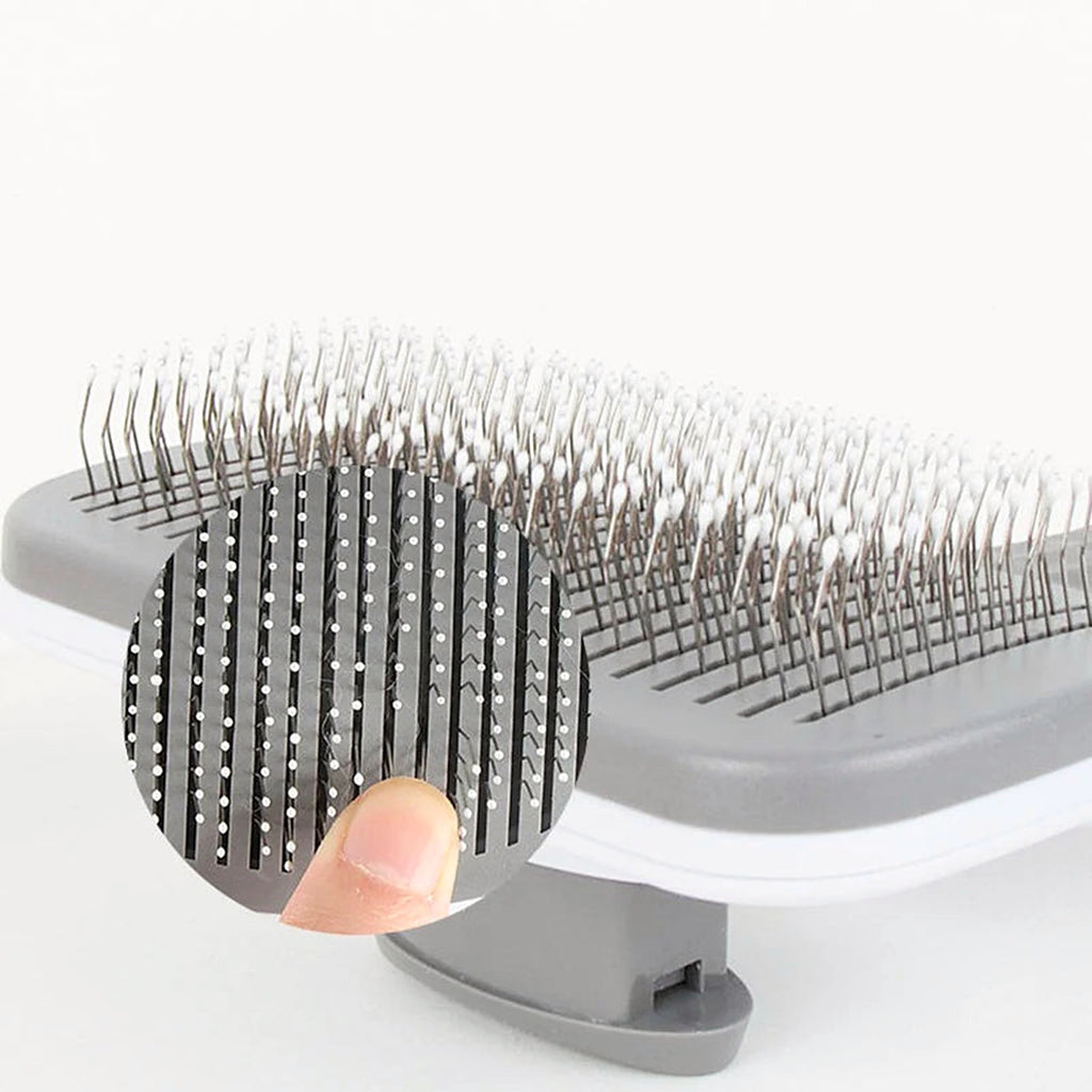 Gros plan sur les picots de la brosse