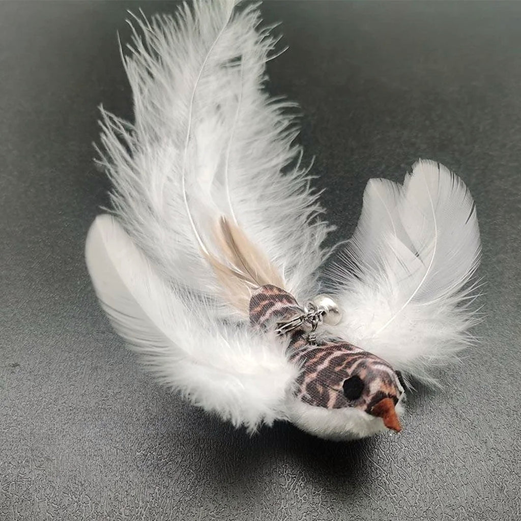 Gros plan sur l'oiseau à plumes blanches et sa clochette