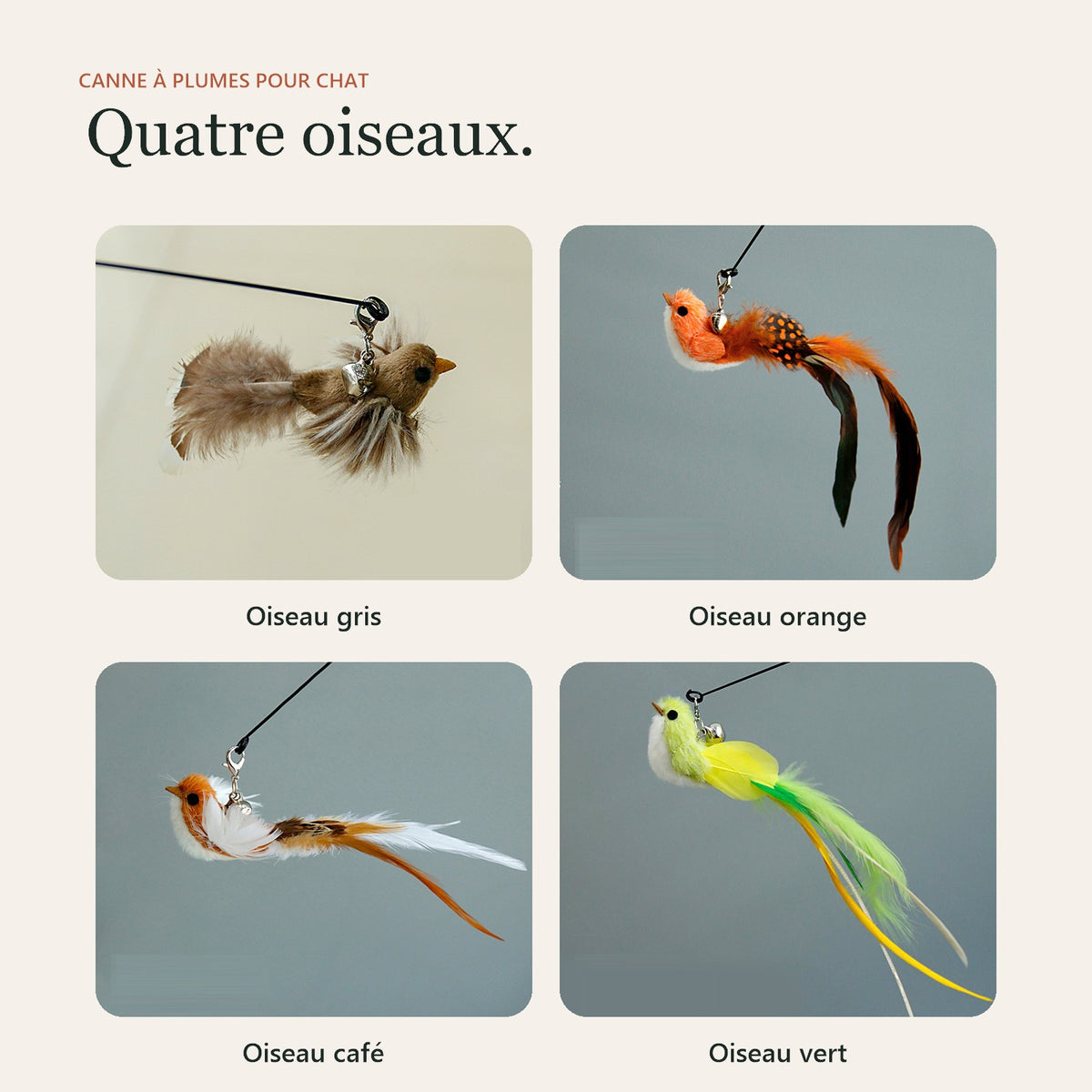 Les quatre oiseaux disponibles : gris, orange, café et vert