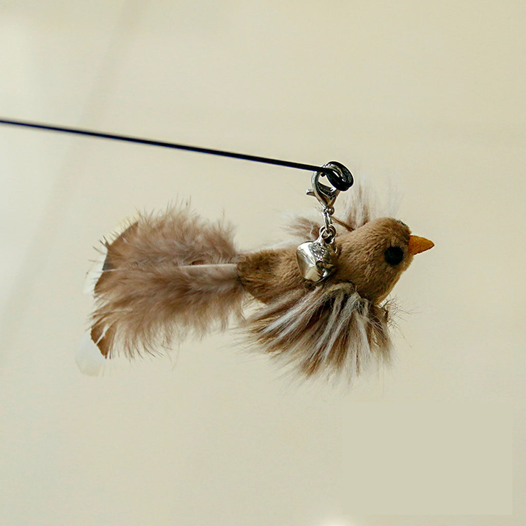 Jouet à plumes pour chat, oiseau gris