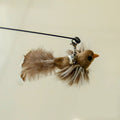 Jouet à plumes pour chat, oiseau gris