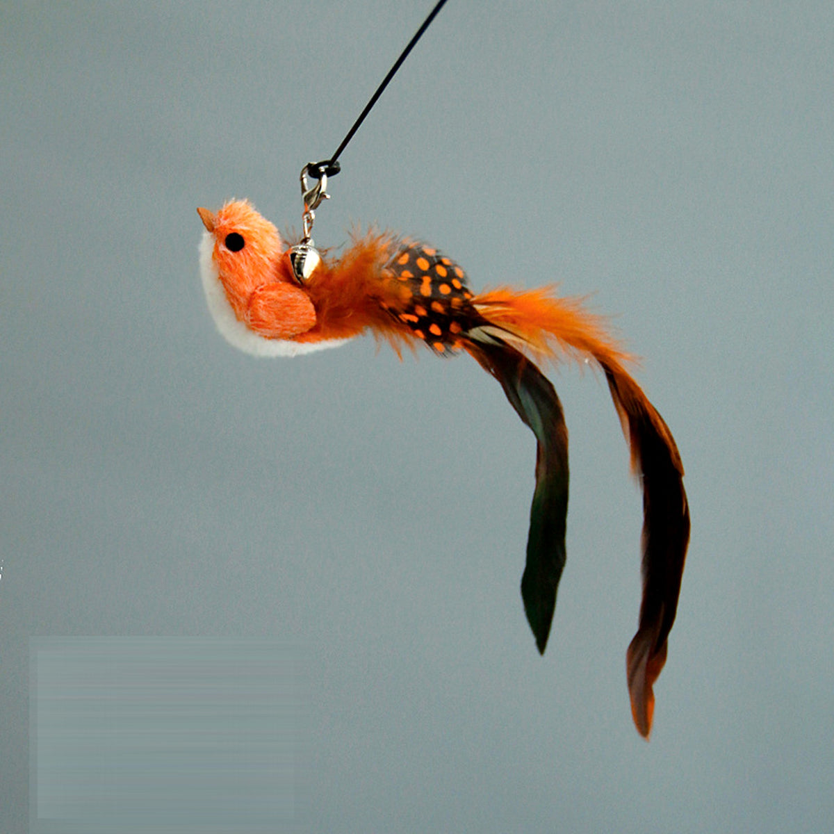 Jouet à plumes pour chat, oiseau orange