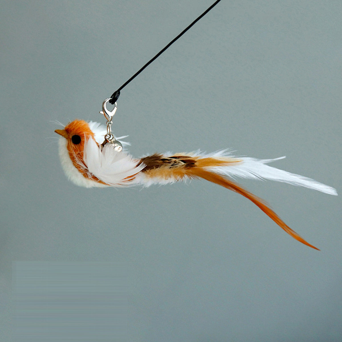 Jouet à plumes pour chat, oiseau café