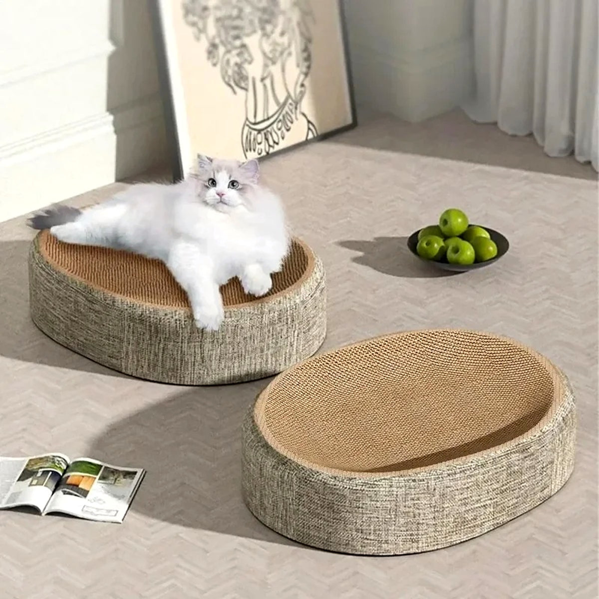 Chat blanc allongé sur un griffoir ovale, un second griffoir posé à côté