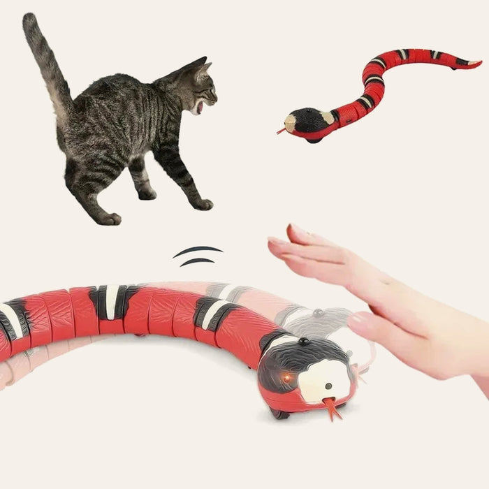 Chat et main devant le serpent électrique en mouvement